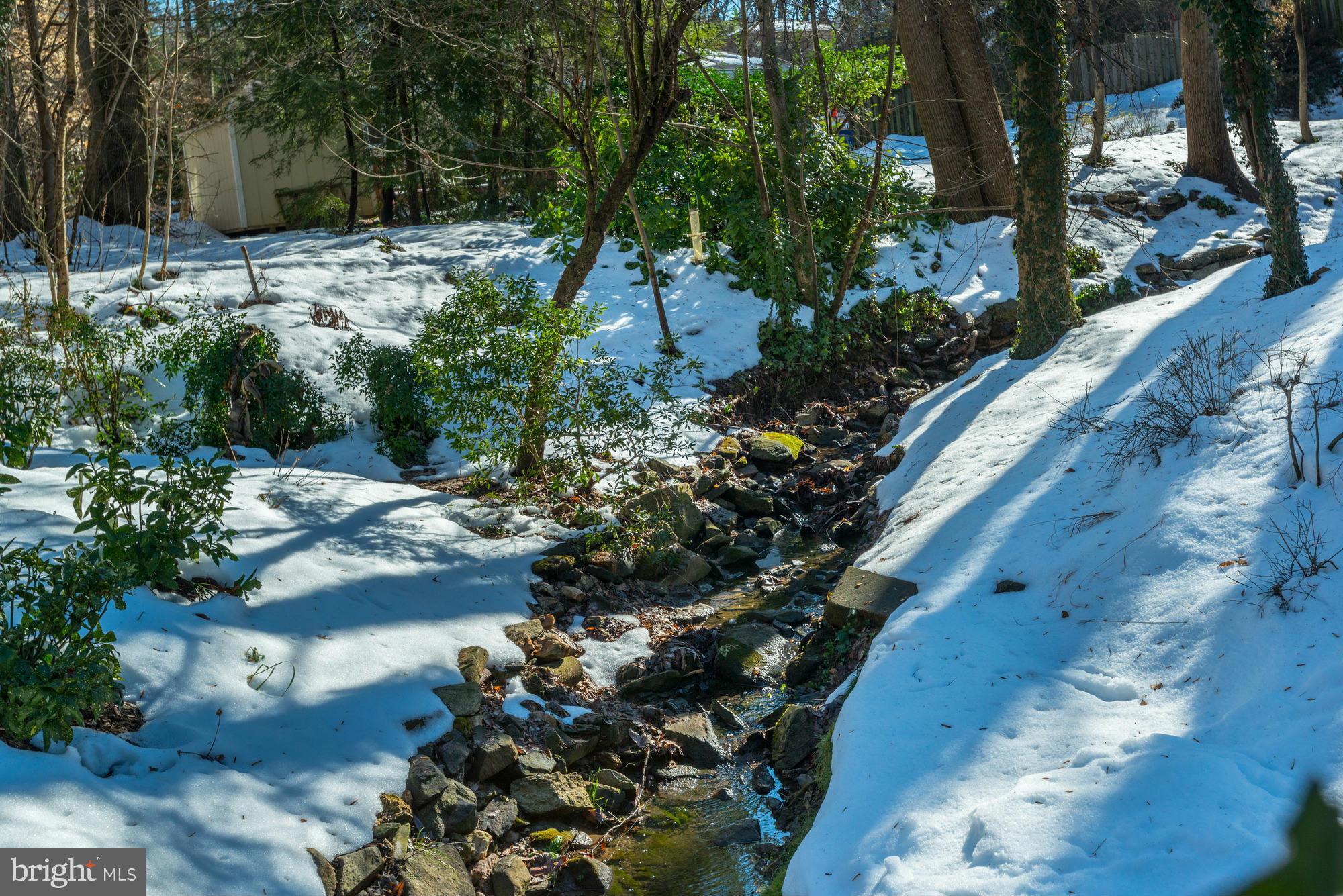 6207 Winnebago Road Bethesda, MD 20816 - Photo 2 of 19 Landscaped Front Yard With Creek