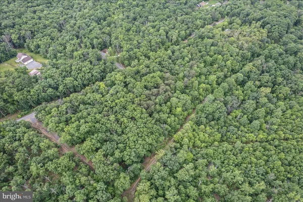 a view of a lush green field