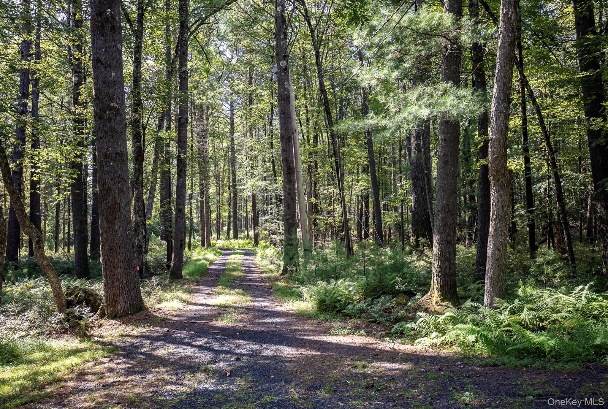 30 Woods Road Barryville, NY 12719 - Photo 21 of 21 Private driveway