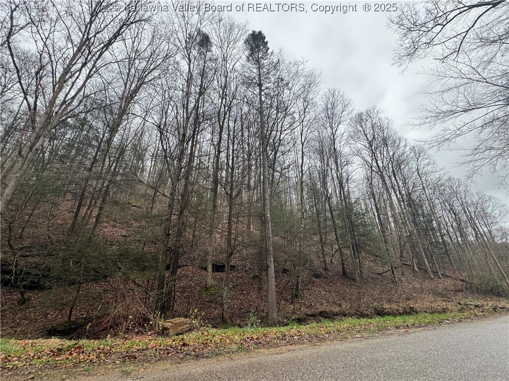 0 Groves-Wattsville Road Ivydale, WV 25113 - Photo 5 of 29 Gallery Image 5