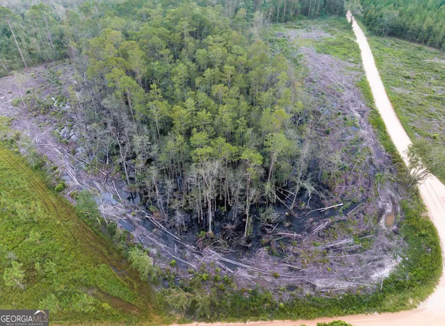 $80,000 | 0 Sam Anderson Road, Glennville, GA 30427