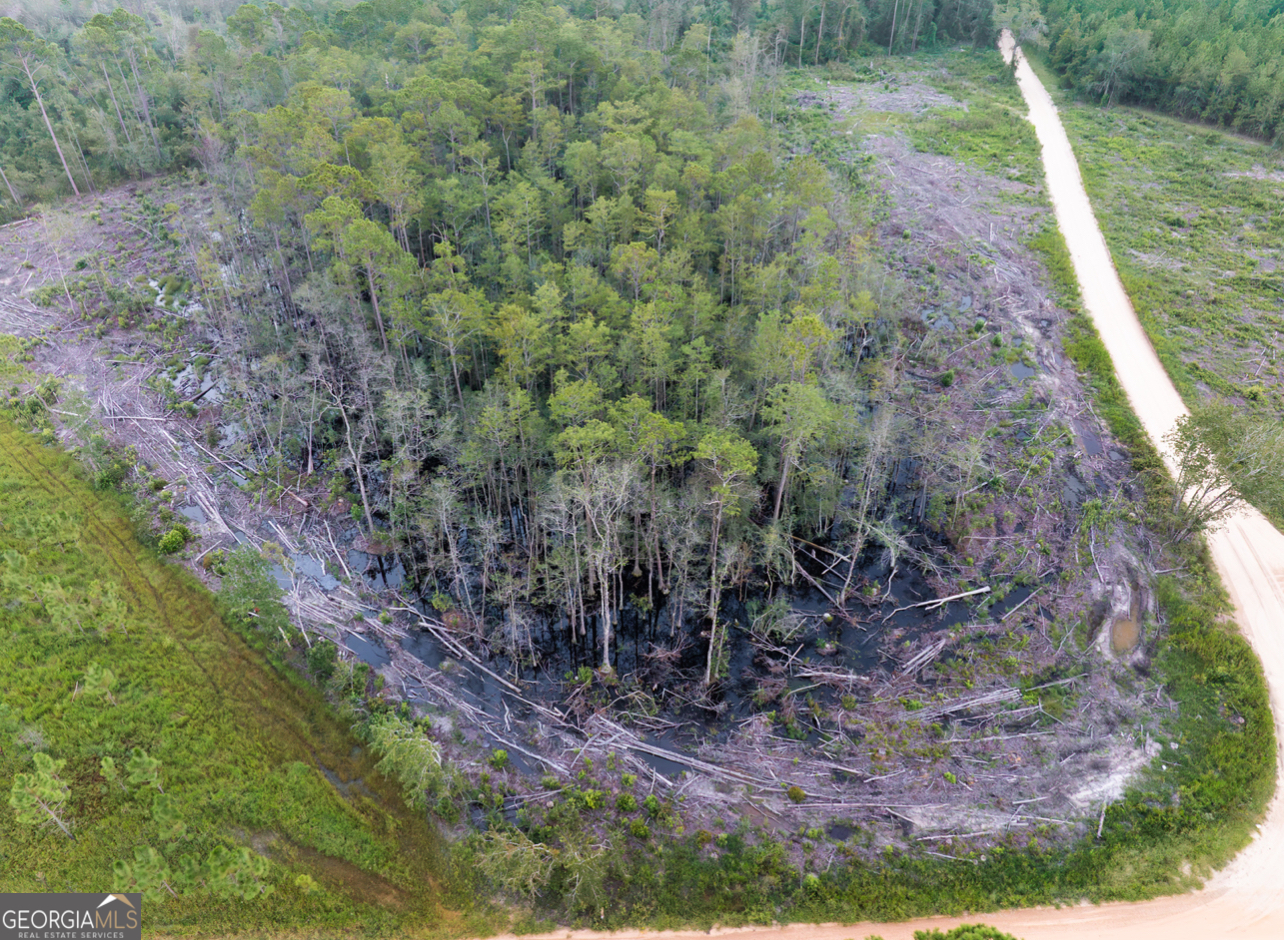 0 Sam Anderson Road Glennville, GA 30427 - Photo 2 of 5 a view of a yard with large trees