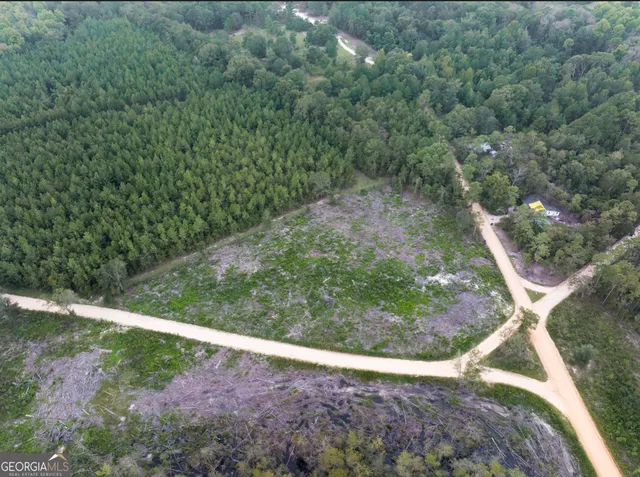 $80,000 | 0 Sam Anderson Road, Glennville, GA 30427