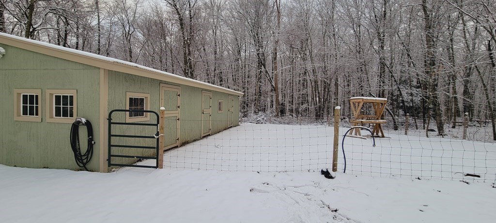 358 Rutherford Road Oakham, MA 01068 - Photo 34 of 42 a view of a back yard of the house