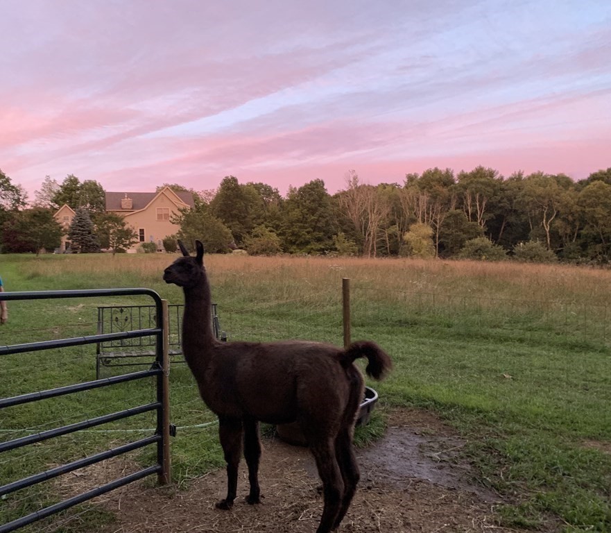 358 Rutherford Road Oakham, MA 01068 - Photo 37 of 42