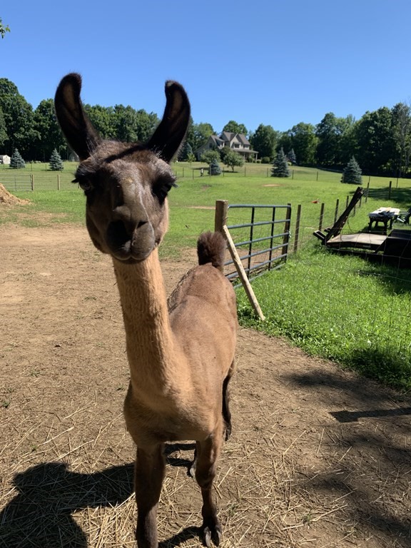 358 Rutherford Road Oakham, MA 01068 - Photo 42 of 42 a view of a lake