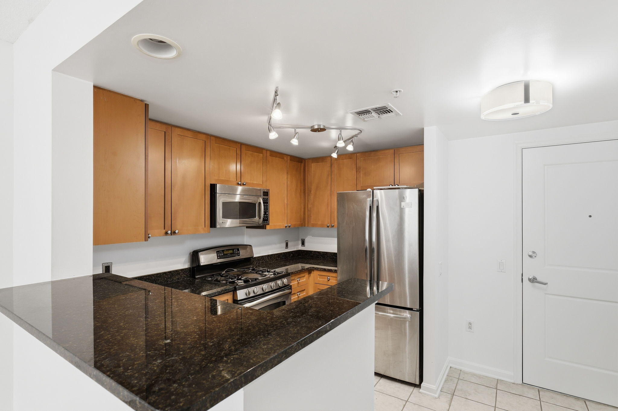 930 Wayne Avenue, Unit 201 Silver Spring, MD 20910 - Photo 5 of 28 Halogen Lighting