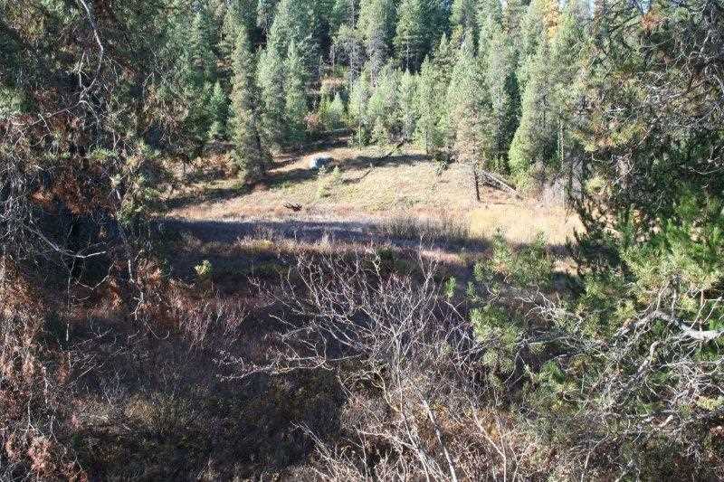 5031 Springdale-Hunters Road Springdale, WA 99173 - Photo 2 of 19