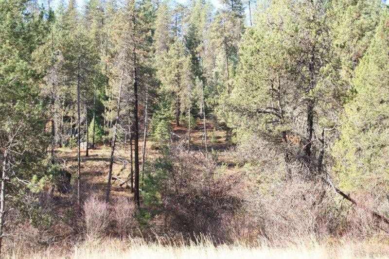 5031 Springdale-Hunters Road Springdale, WA 99173 - Photo 11 of 19