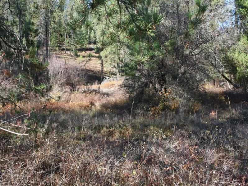 5031 Springdale-Hunters Road Springdale, WA 99173 - Photo 12 of 19