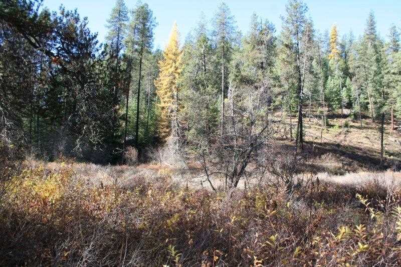 5031 Springdale-Hunters Road Springdale, WA 99173 - Photo 13 of 19