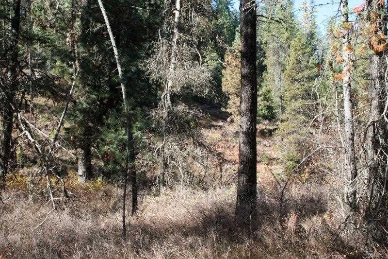 5031 Springdale-Hunters Road Springdale, WA 99173 - Photo 14 of 19