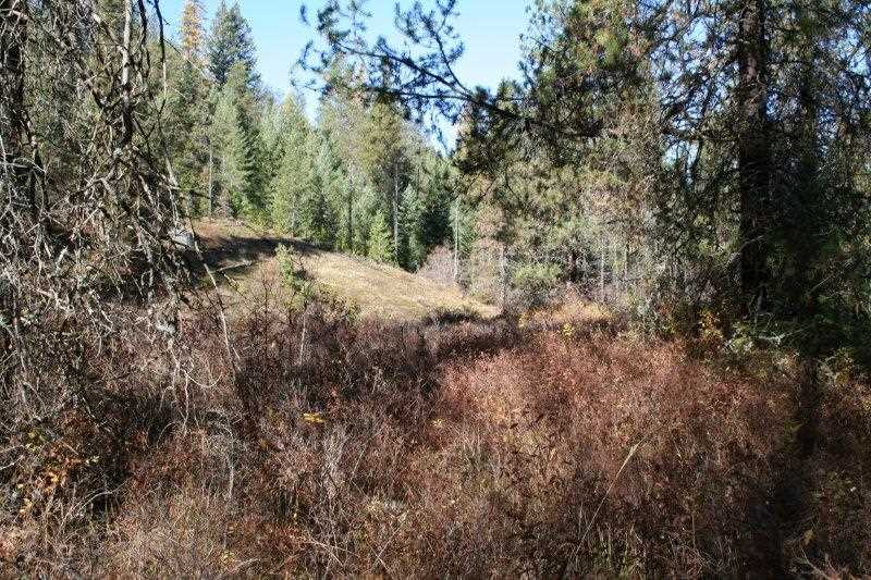 5031 Springdale-Hunters Road Springdale, WA 99173 - Photo 15 of 19