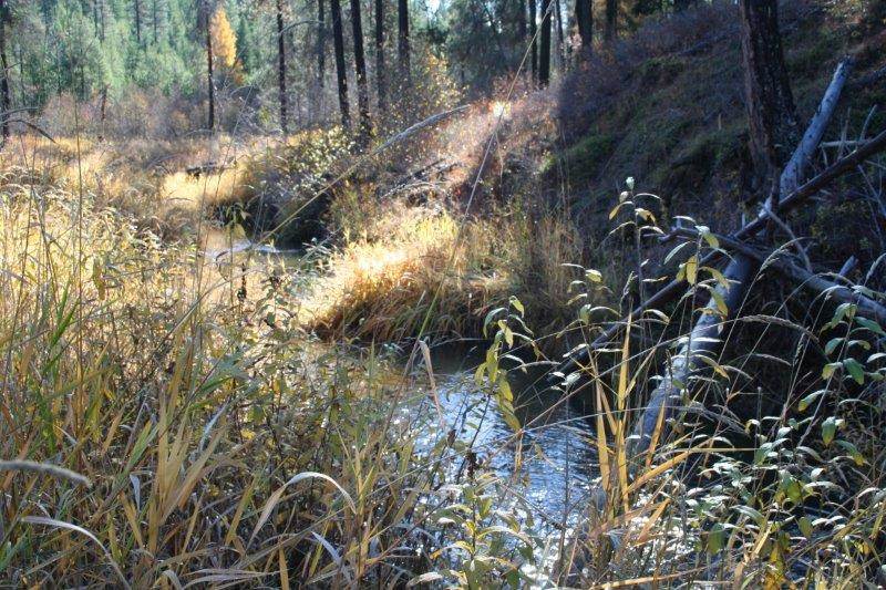 5031 Springdale-Hunters Road Springdale, WA 99173 - Photo 17 of 19