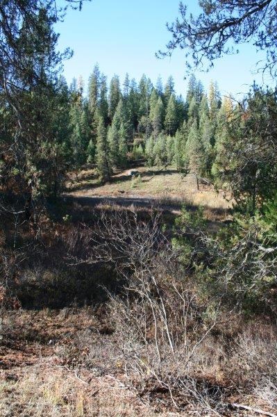 5031 Springdale-Hunters Road Springdale, WA 99173 - Photo 18 of 19