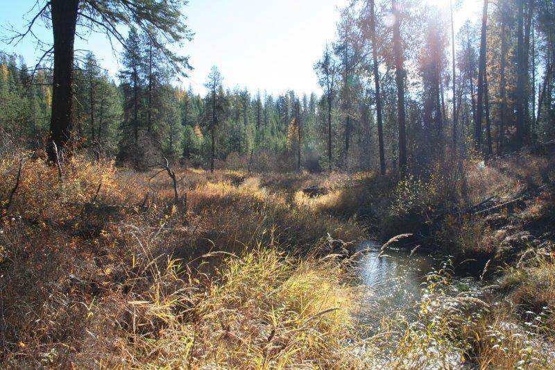5031 Springdale-Hunters Road Springdale, WA 99173 - Photo 19 of 19