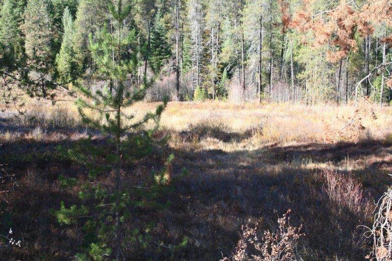 5031 Springdale-Hunters Road Springdale, WA 99173 - Photo 3 of 19
