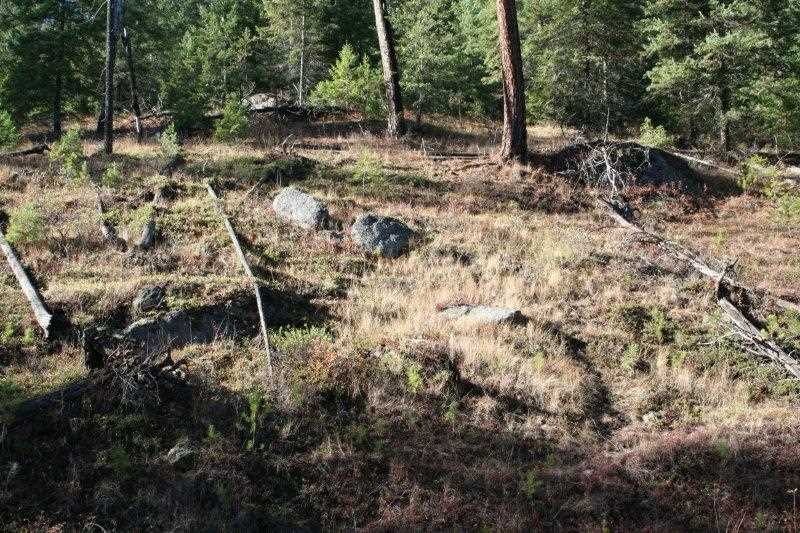 5031 Springdale-Hunters Road Springdale, WA 99173 - Photo 4 of 19