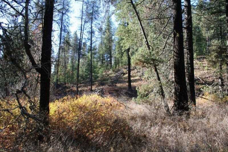 5031 Springdale-Hunters Road Springdale, WA 99173 - Photo 7 of 19