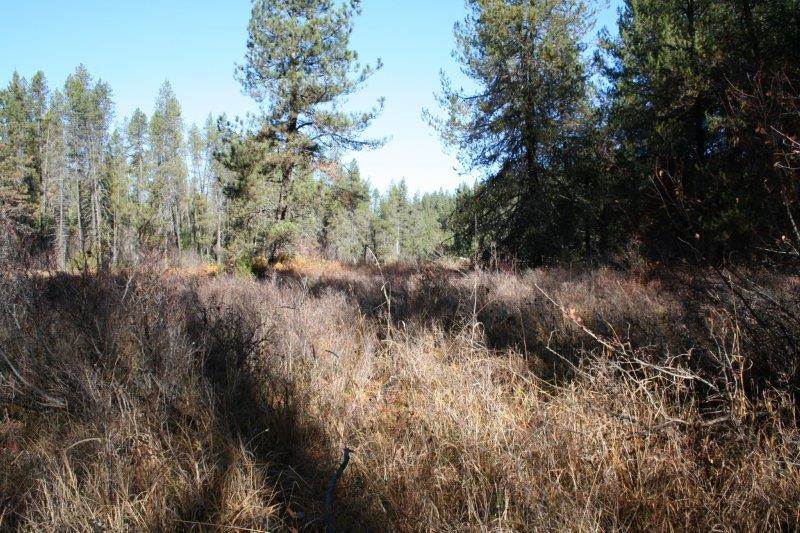 5031 Springdale-Hunters Road Springdale, WA 99173 - Photo 8 of 19