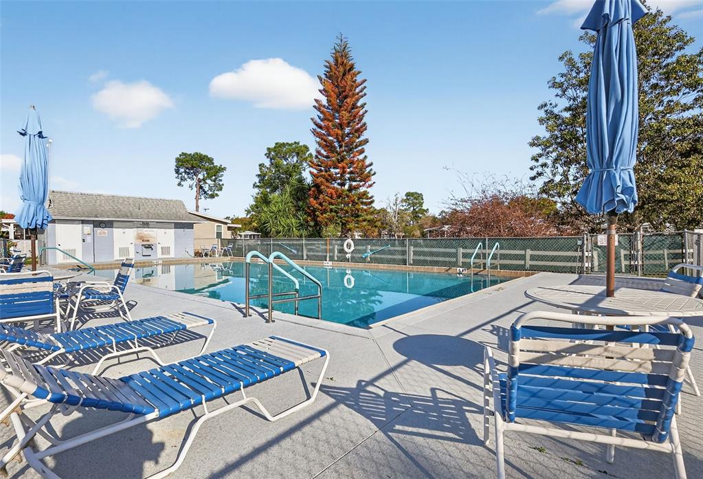 3567 Manatee Road Tavares, FL 32778 - Photo 54 of 67