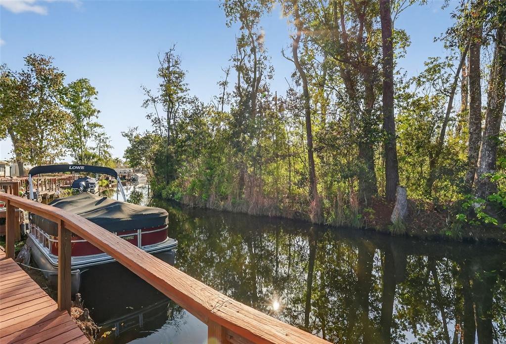 3567 Manatee Road Tavares, FL 32778 - Photo 55 of 67