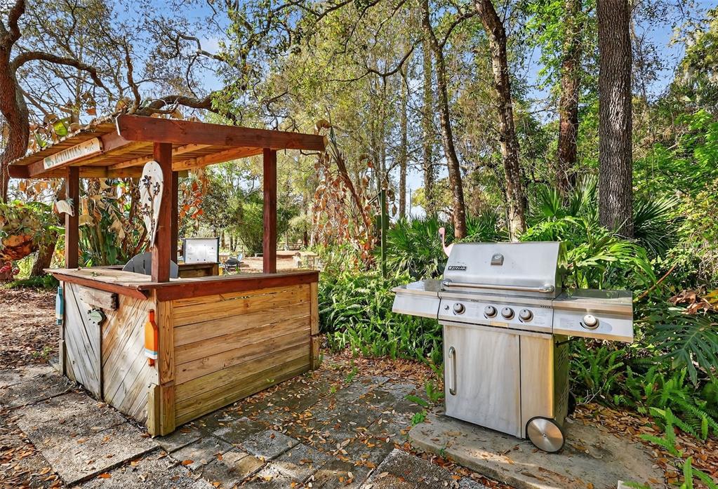 3567 Manatee Road Tavares, FL 32778 - Photo 58 of 67