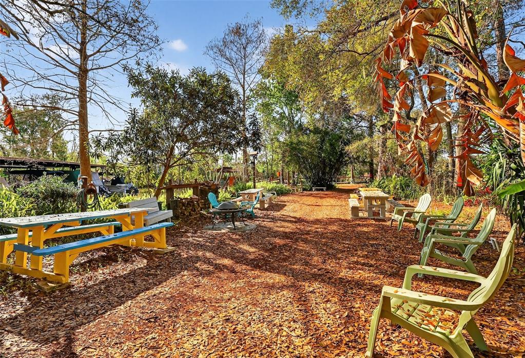 3567 Manatee Road Tavares, FL 32778 - Photo 59 of 67