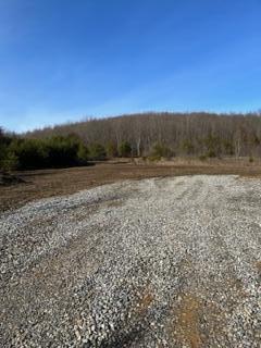 0 Rapp-Montgomery Road Lucasville, OH 45648 - Photo 9 of 11 Rapp Mont.