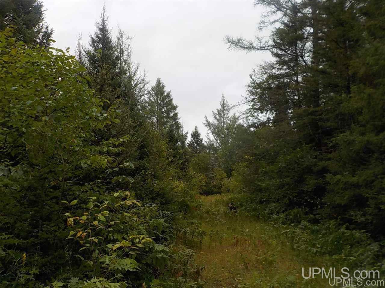 196.2-ac East Cable Lake Road Crystal Falls, MI 49920 - Photo 3 of 17