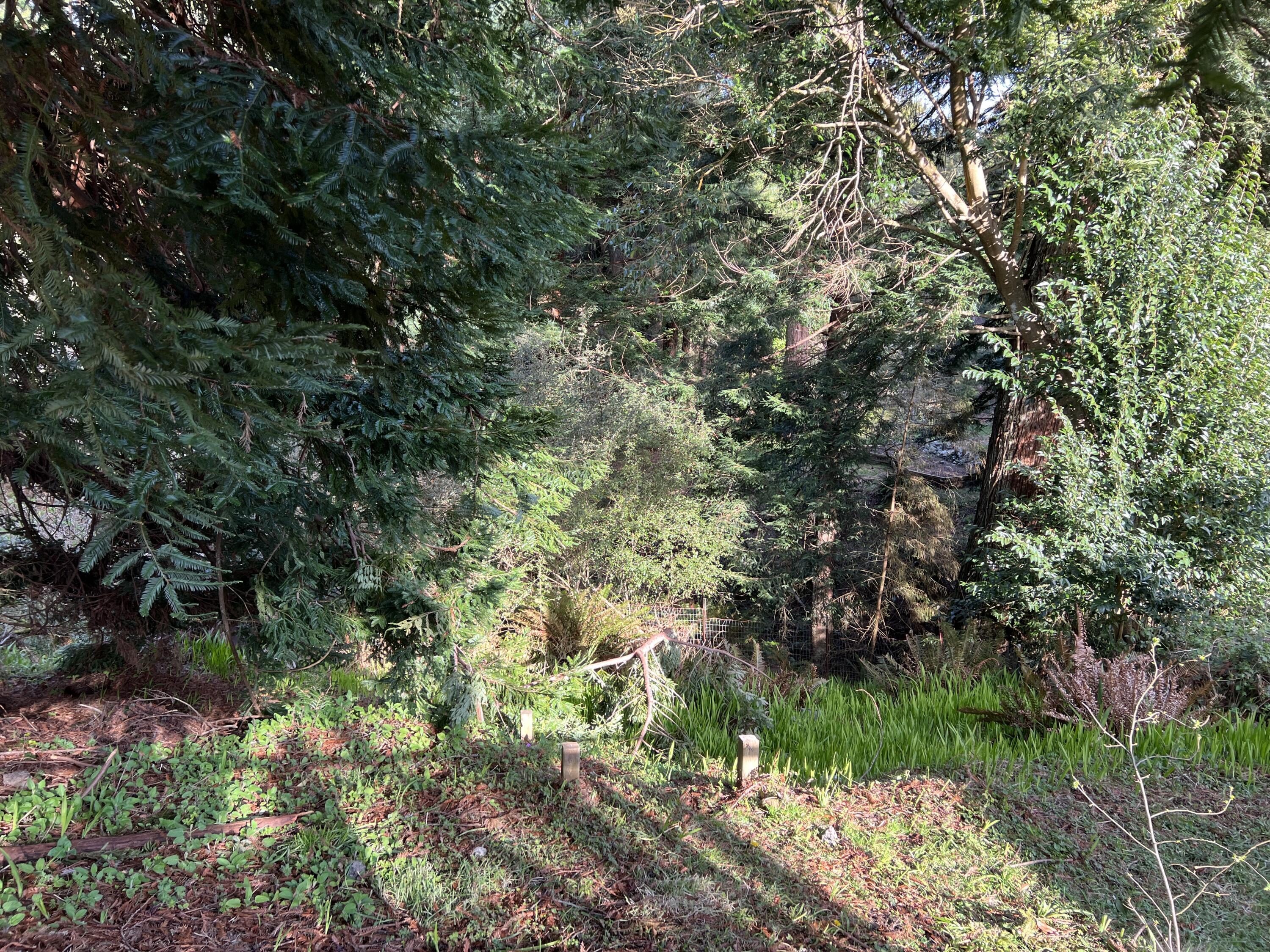 4199 Excelsior Road Eureka, CA 95503 - Photo 58 of 81