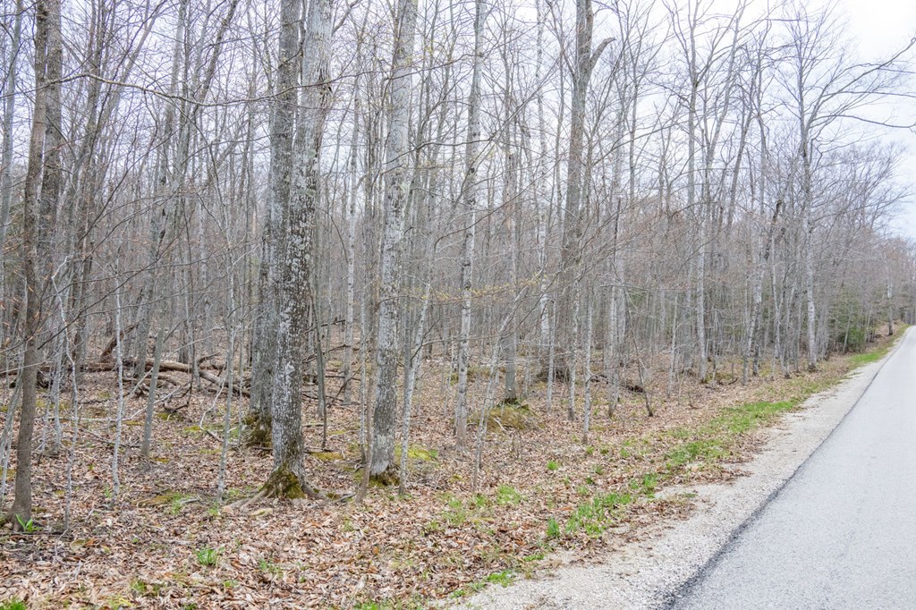 Lot 2 Cottage Road Ellison Bay, WI 54210 - Photo 23 of 30