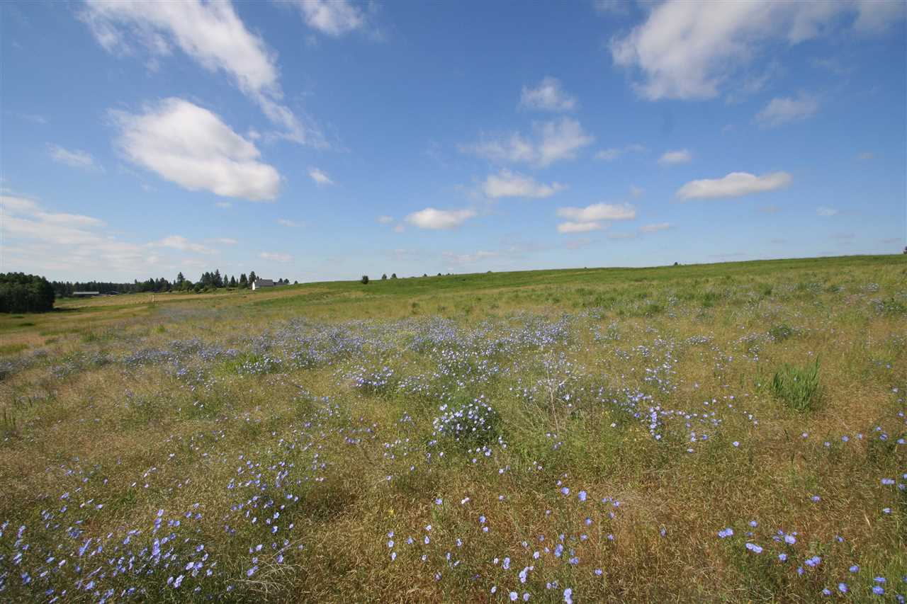 12119 South Bruna Road Valleyford, WA 99036 - Photo 14 of 14 Gallery Image 14
