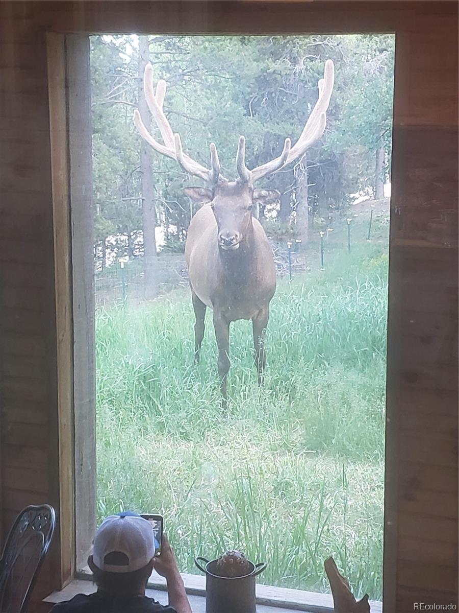 11212 Conifer Mountain Road Conifer, CO 80433 - Photo 33 of 38 Gallery Image 33