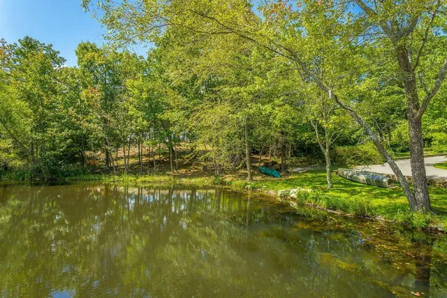 a view of yard with green space