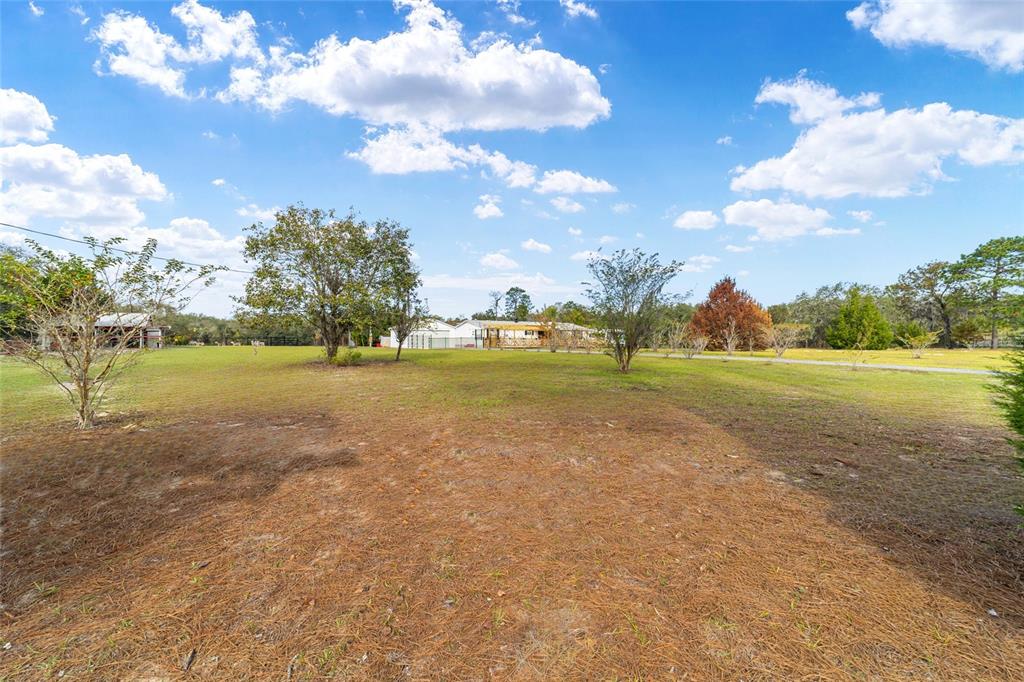 5150 Southeast 117th Avenue Morriston, FL 32668 - Photo 60 of 63 a view of a field with large trees