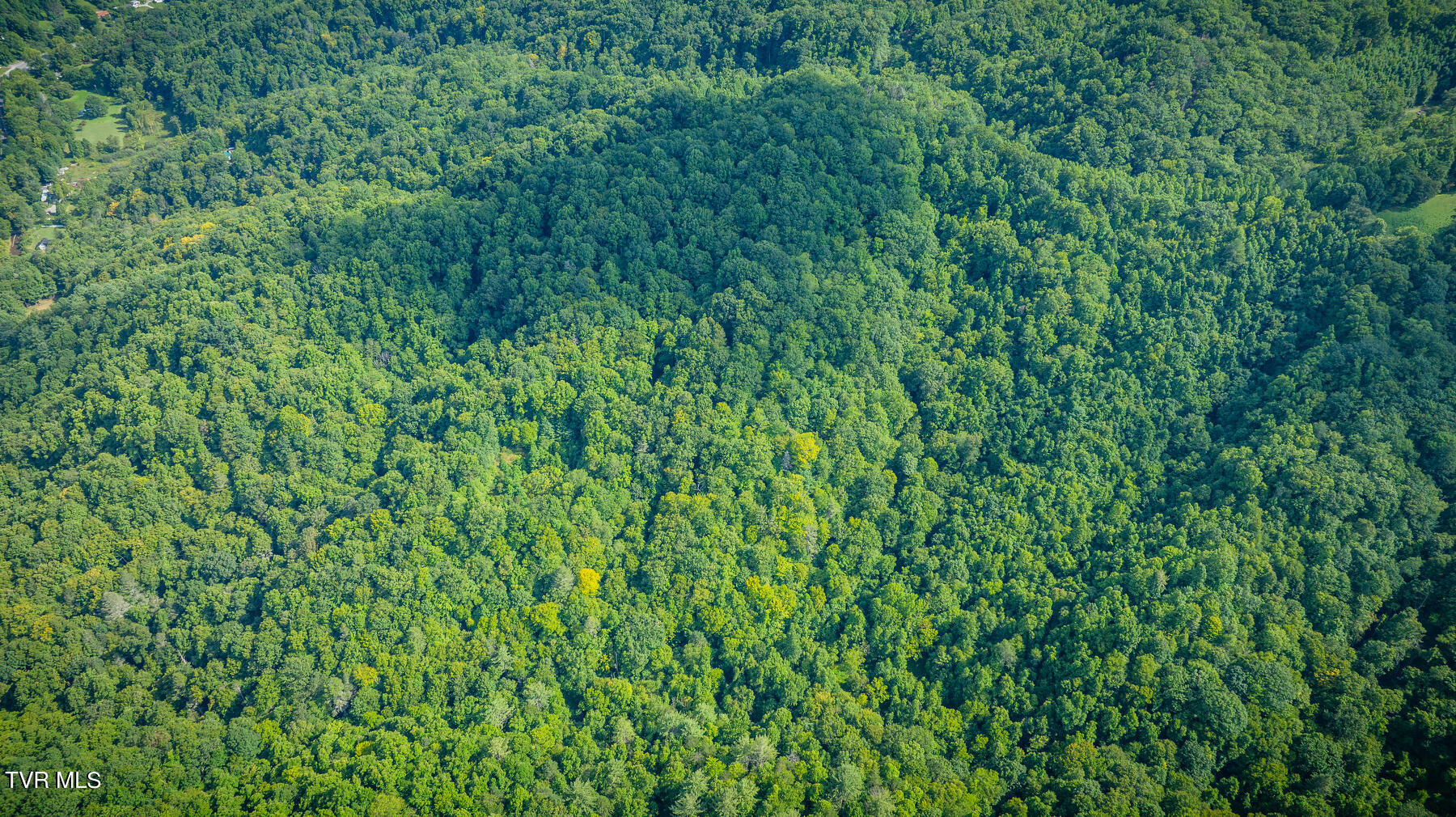 W Reece Hill Road Hampton, TN 37658 - Photo 1 of 17 101