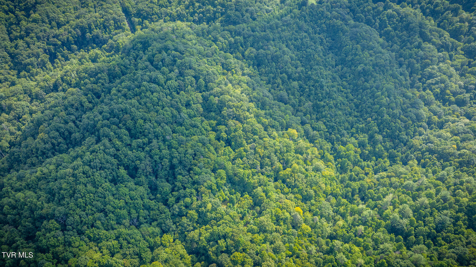 W Reece Hill Road Hampton, TN 37658 - Photo 2 of 17 102