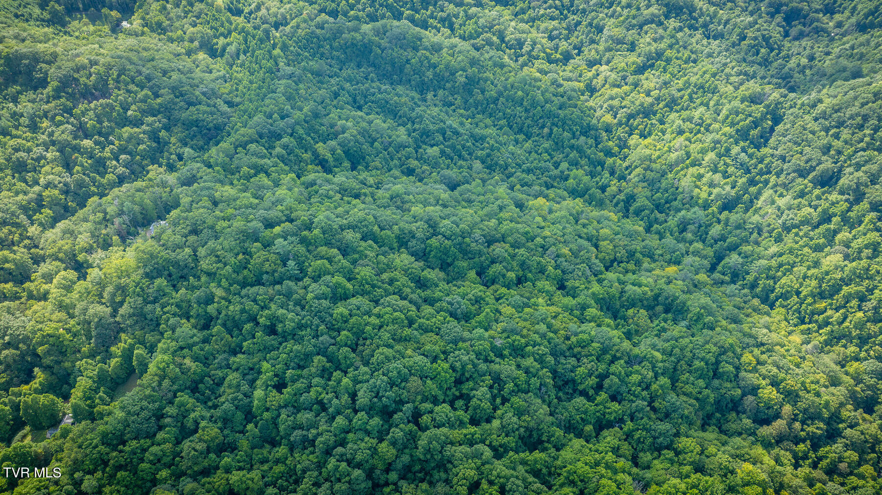 W Reece Hill Road Hampton, TN 37658 - Photo 3 of 17 103