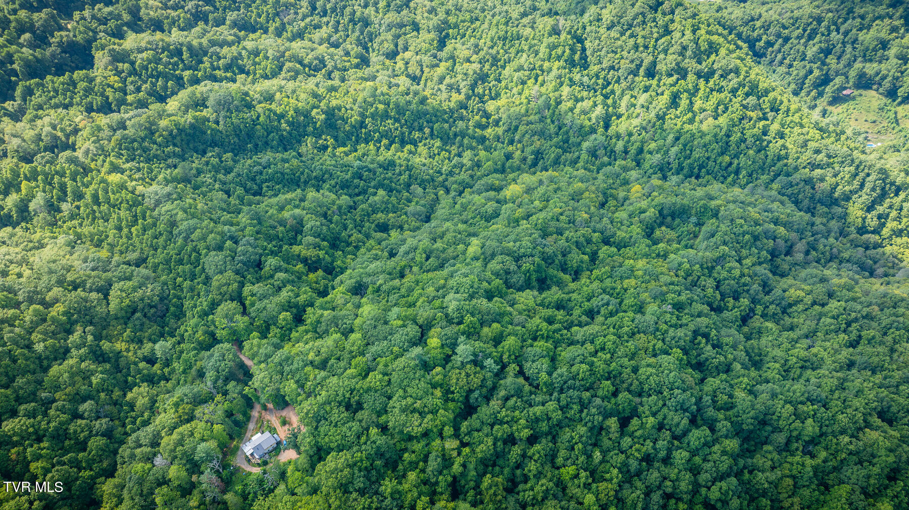 W Reece Hill Road Hampton, TN 37658 - Photo 4 of 17 104