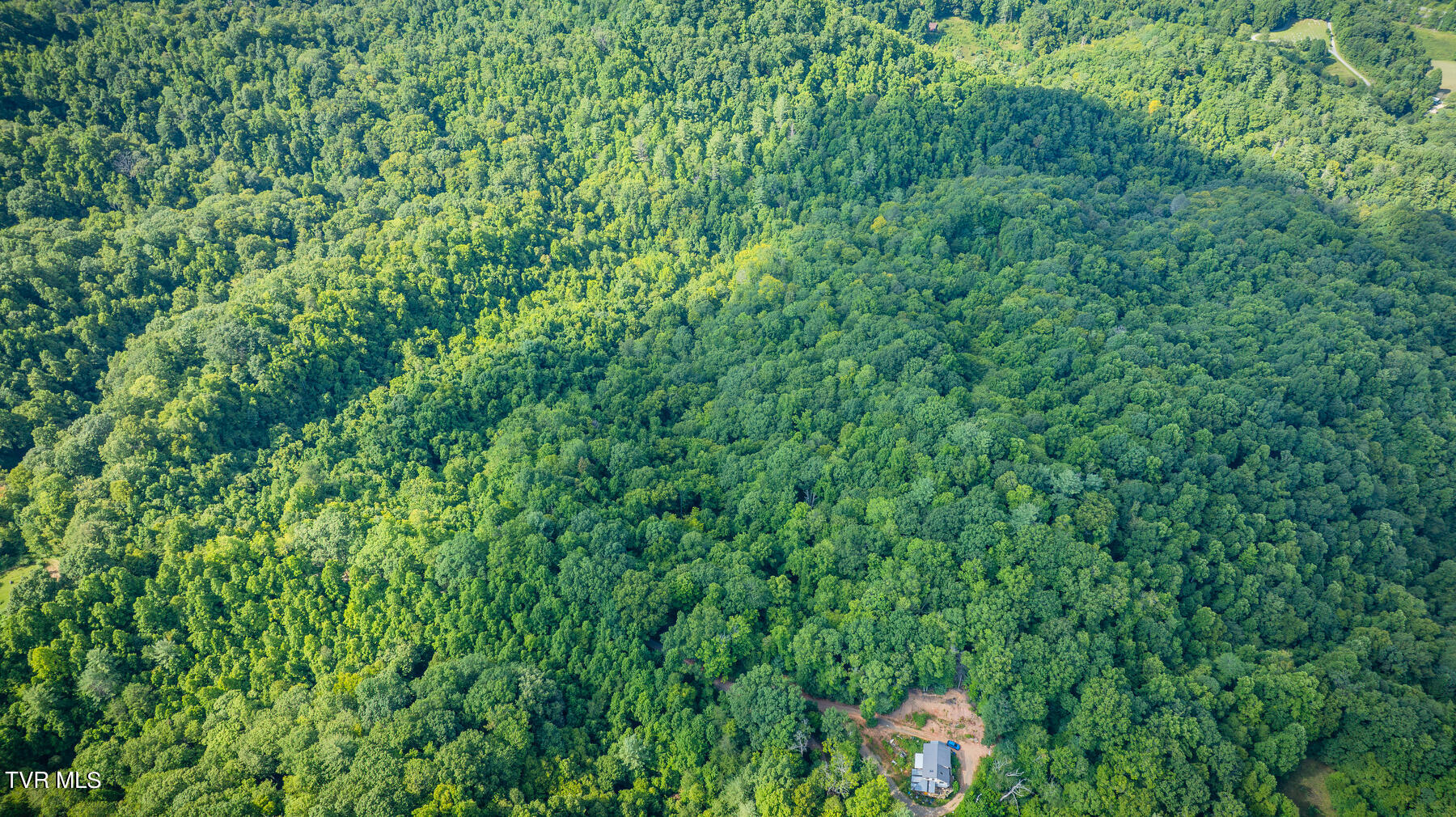 W Reece Hill Road Hampton, TN 37658 - Photo 5 of 17 105