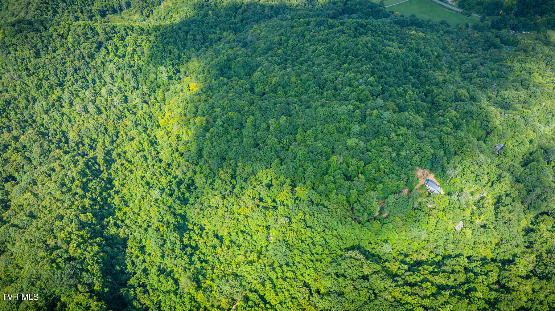 W Reece Hill Road Hampton, TN 37658 - Photo 6 of 17 106