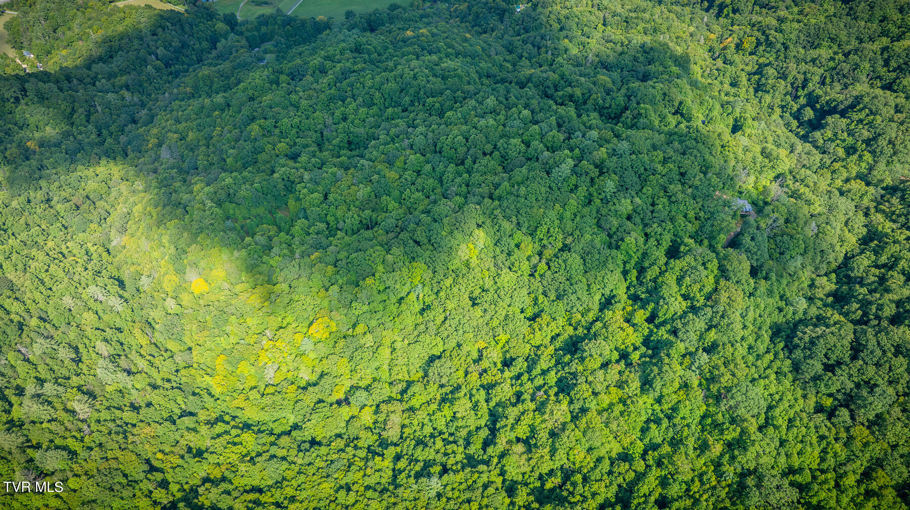 W Reece Hill Road Hampton, TN 37658 - Photo 7 of 17 107