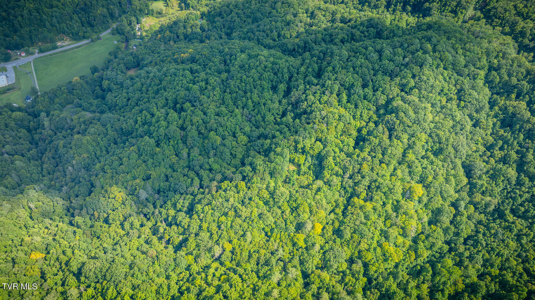 W Reece Hill Road Hampton, TN 37658 - Photo 8 of 17 108