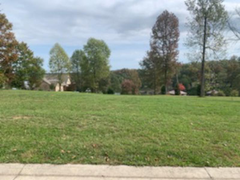 412 Waterfront Way Spring City, TN 37381 - Photo 1 of 17