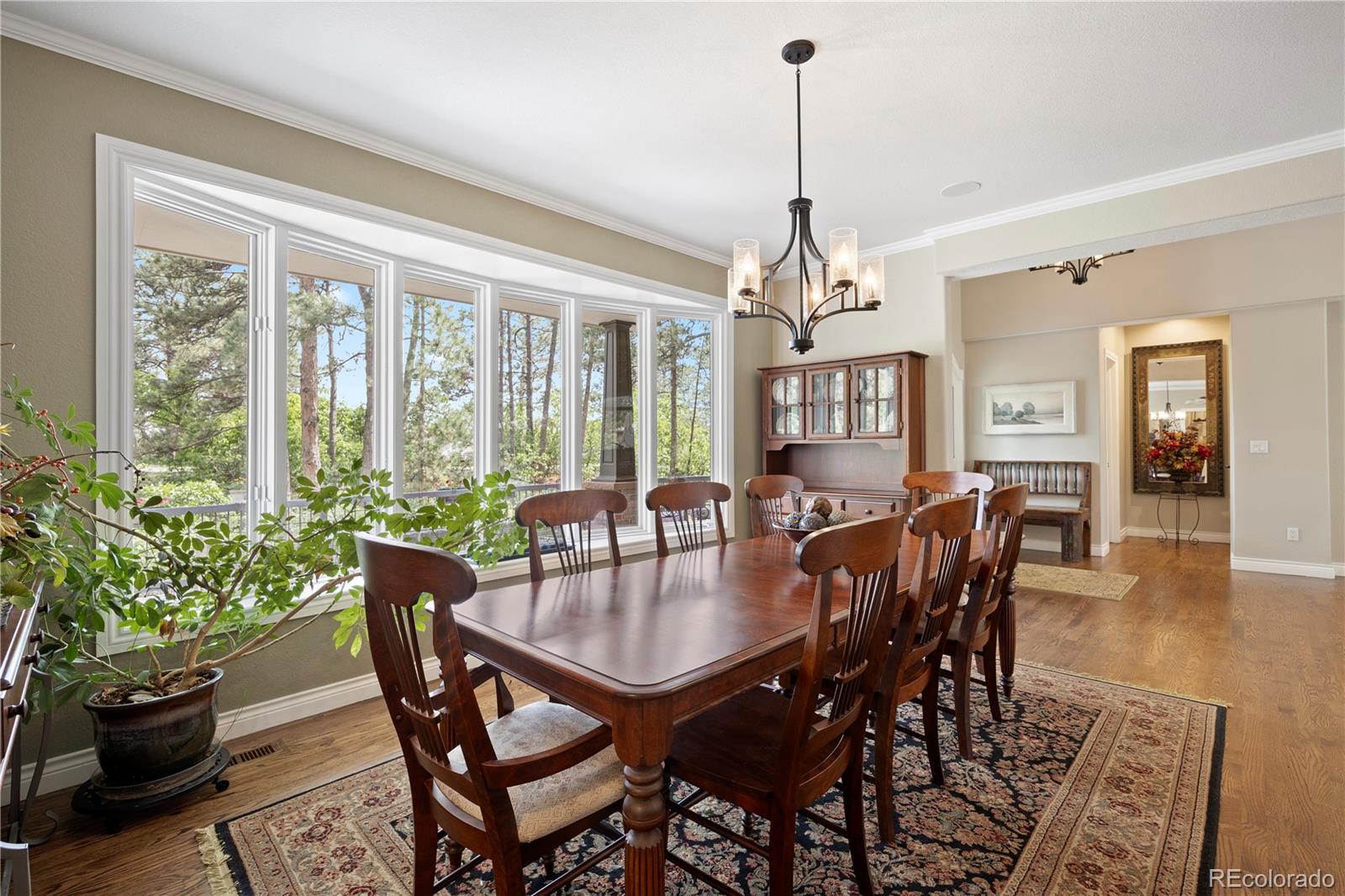 315 Prospect Drive Castle Rock, CO 80108 - Photo 7 of 45