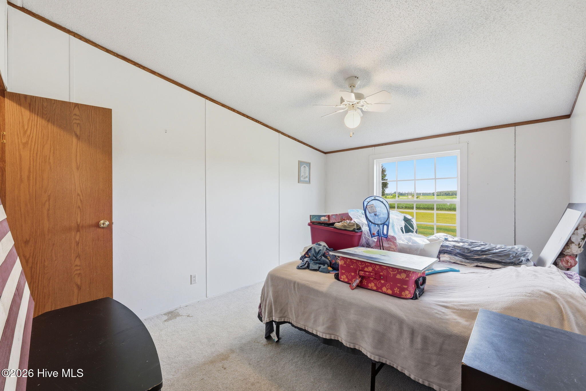 252 Heath Swamp Road Cove City, NC 28523 - Photo 33 of 55