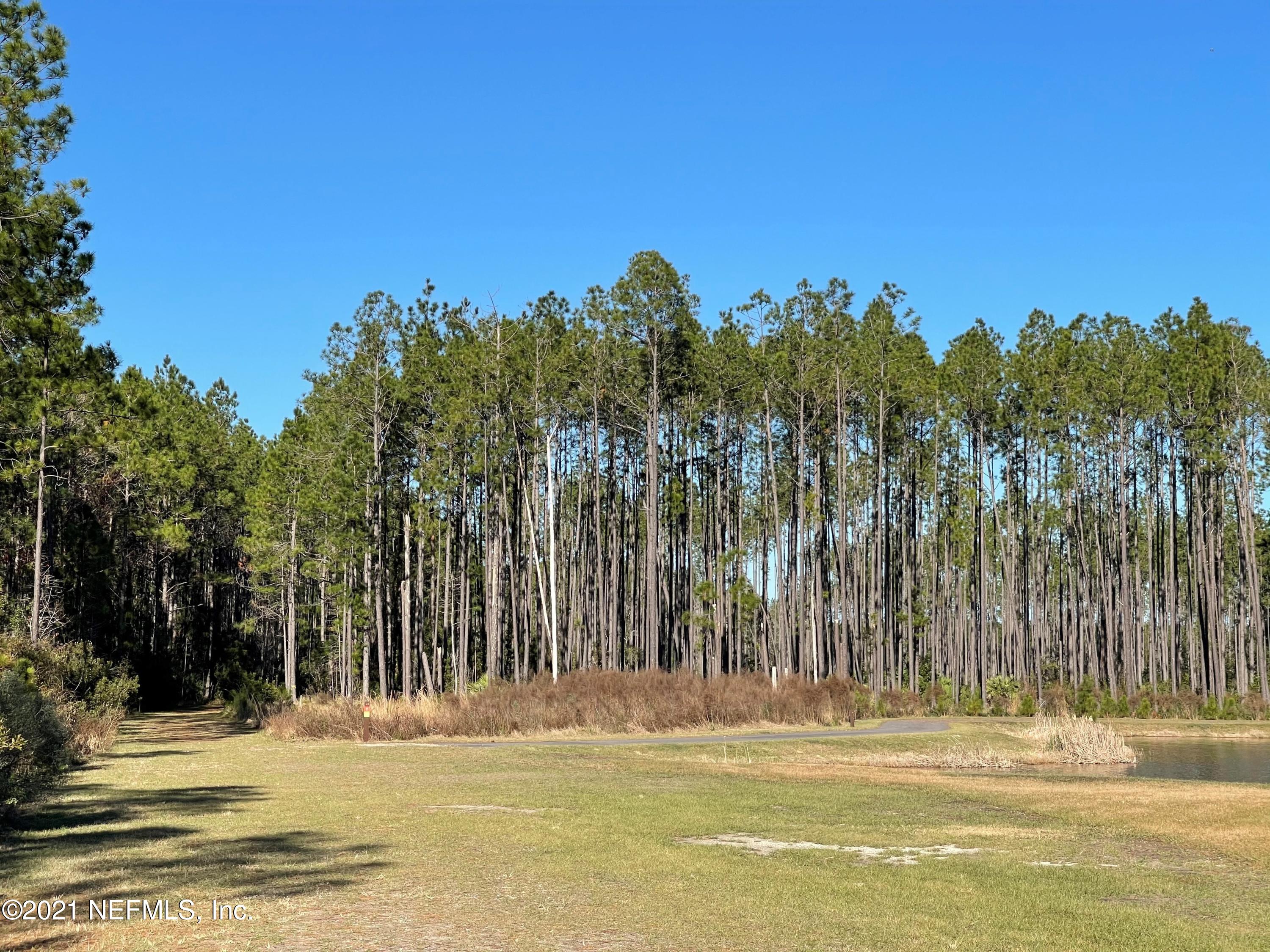 148 Sawgrass Lane Yulee, FL 32097 - Photo 19 of 20 Wildlight Trail 4