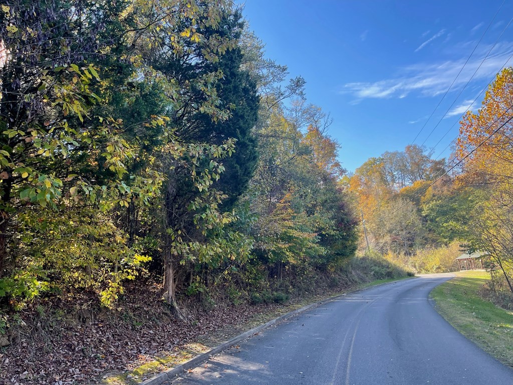 40 Eagle Springs Road Sevierville, TN 37876 - Photo 6 of 17