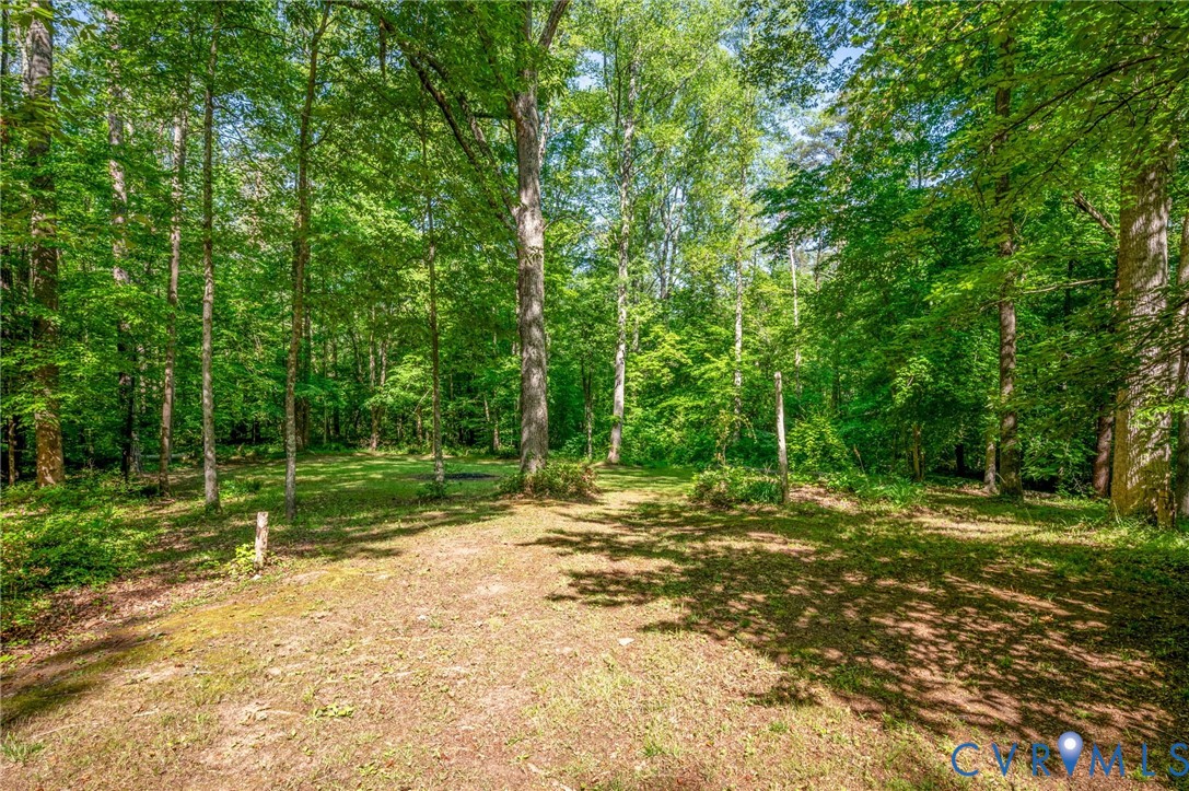 18287 Shiloh Church Road Beaverdam, VA 23015 - Photo 7 of 34